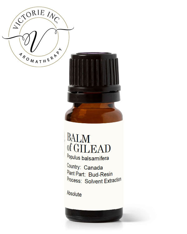 Balm-Gilead-Absolute-Oil