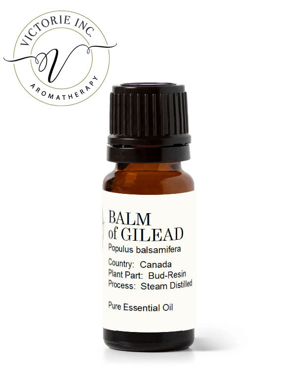 Balm-Gilead-Steam-Distilled