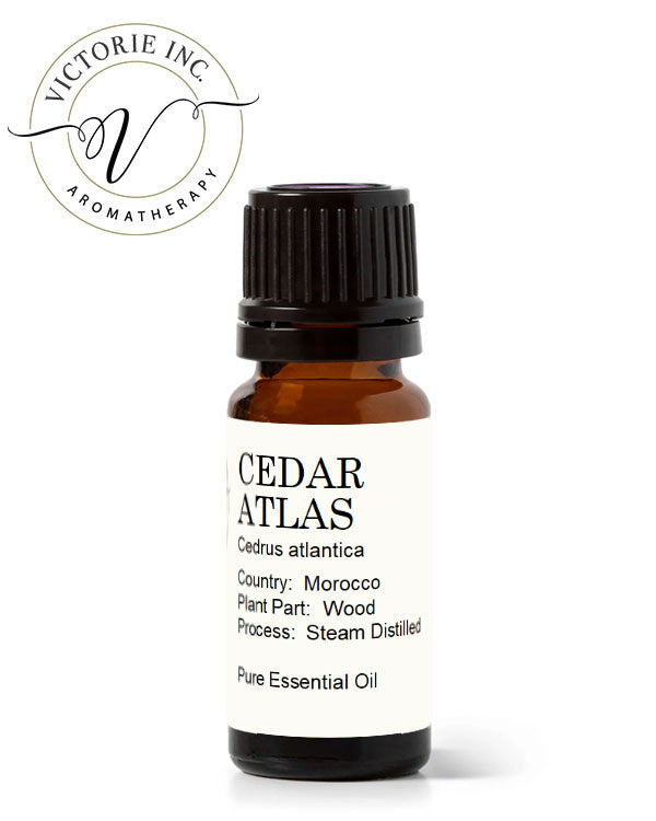 Atlas Cedar Essential Oil