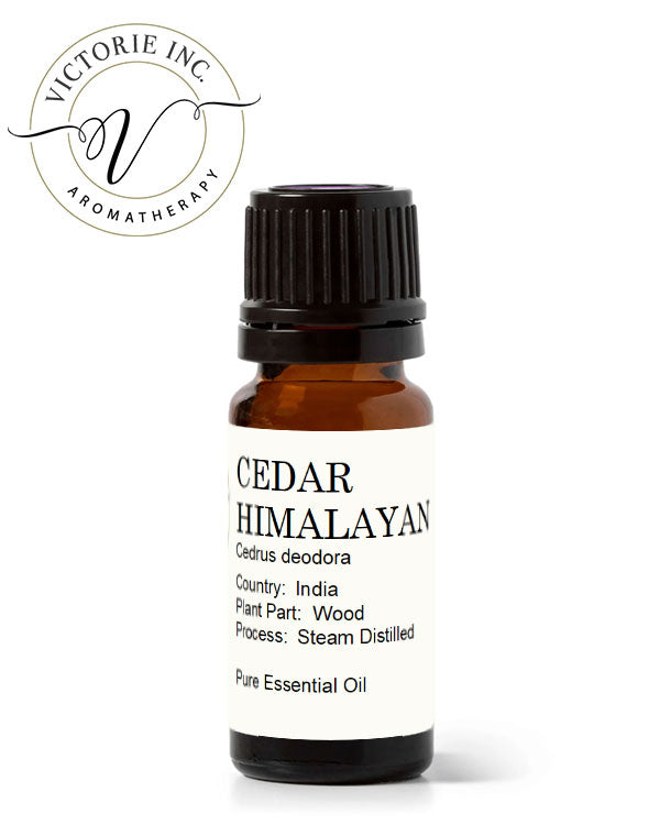 Himalayan Cedar Essential Oil