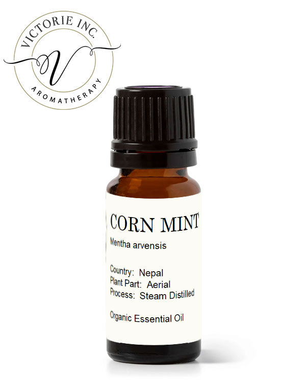 Cornmint Essential Oil