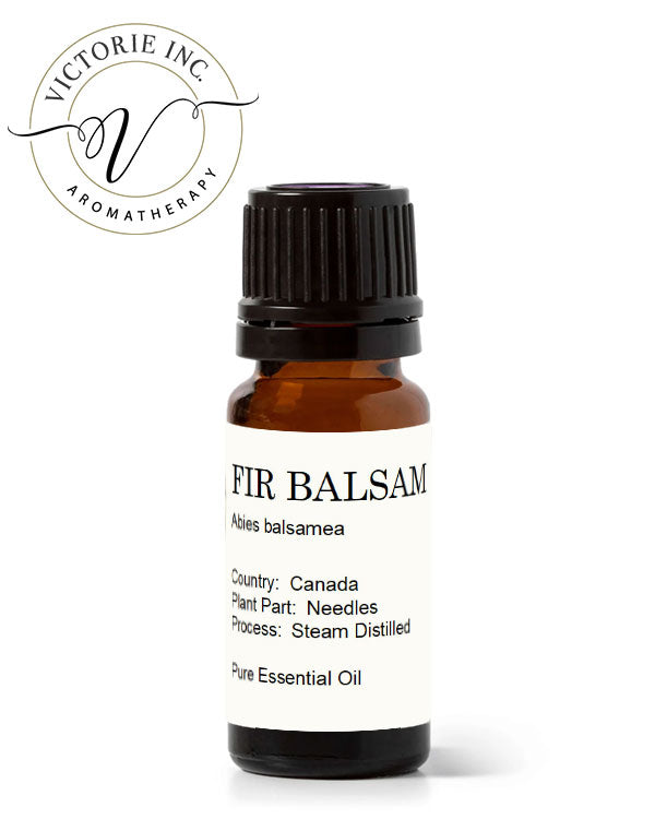 Fir-Balsam-Essential-Oil-Canada