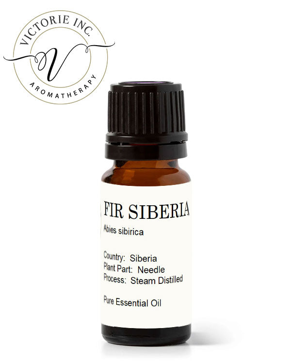 Siberian Fir Essential Oil