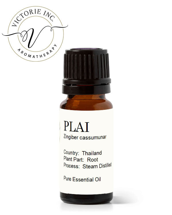 Plai Essential Oil
