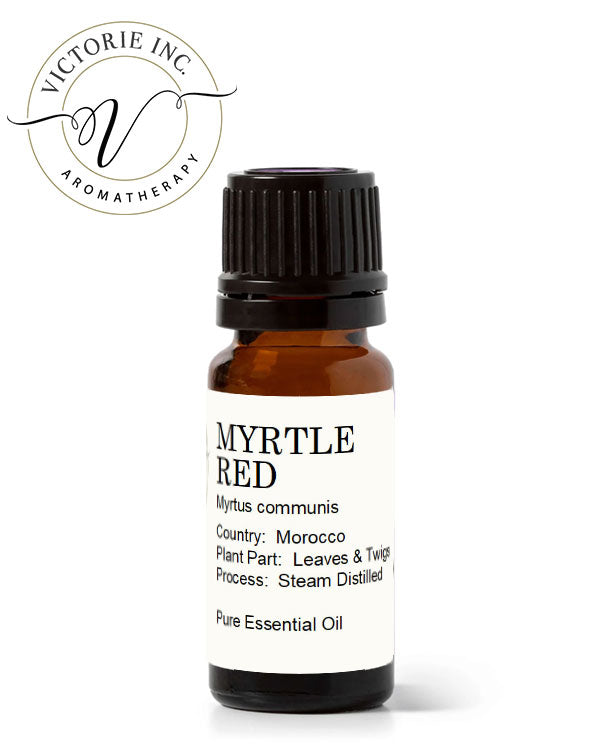 Red Myrtle Essential Oil