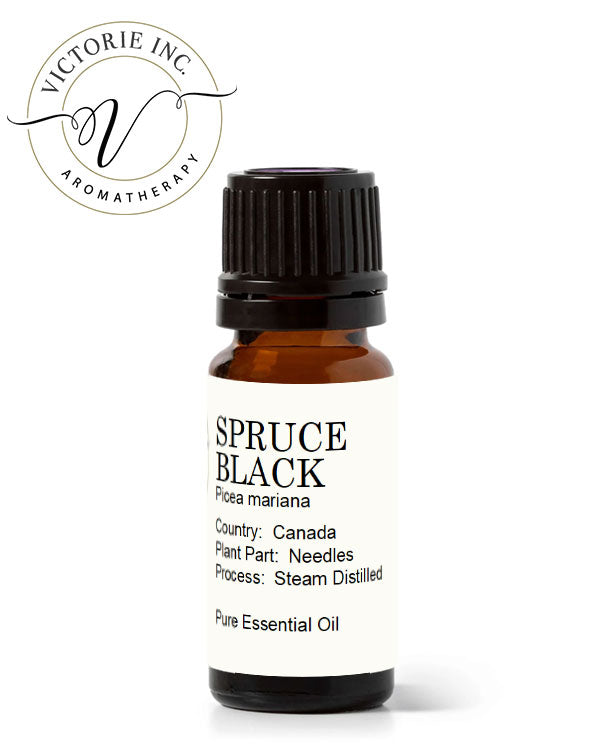 Black Spruce Essential Oil