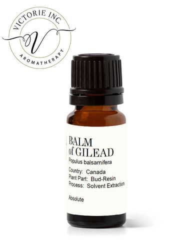 Balm-Gilead-Absolute-Oil