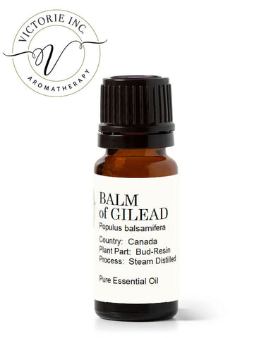 Balm-Gilead-Steam-Distilled