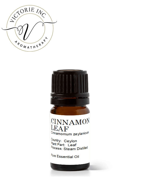 Exodus 30 - Holy Anointing Oil Essential Oil Set