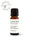 Clove Bud Essential Oil - Madagascar