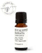 Eucalyptus Radiata Essential Oil