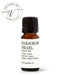 Marjoram-Israel-Origanum-Dayi