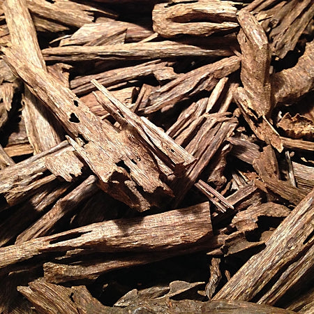 Aloes, Lign Aloes (Agarwood, Oud)