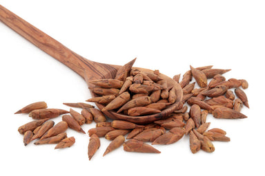 Balm of Gilead Buds - Populus balsamifera Buds