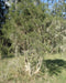 By Geoff Derrin - Own work, CC BY-SA 4.0,https://commons.wikimedia.org/w/index.php?curid=63755001